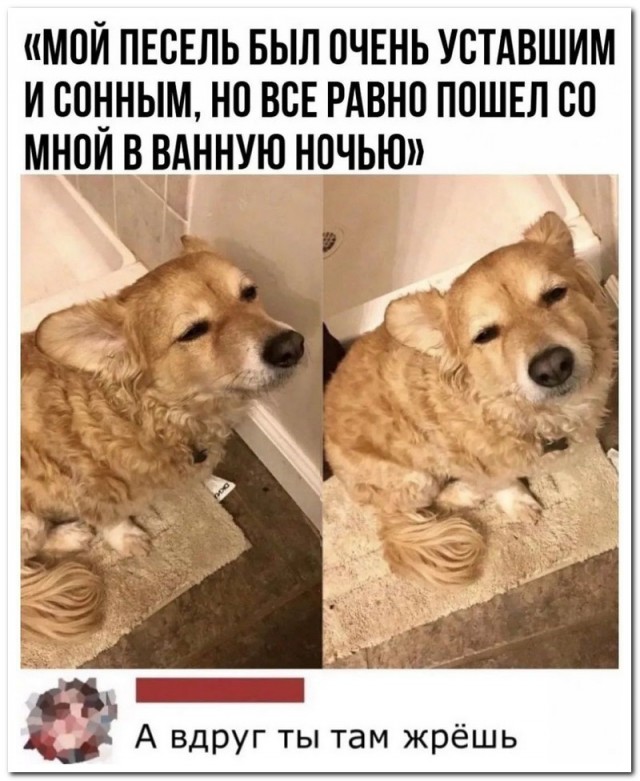Забавные комментарии из социальных сетей 28.03.22