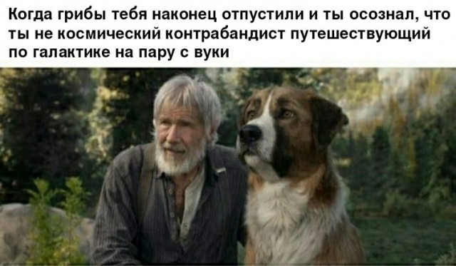 40 картинок разных 31.03.2022