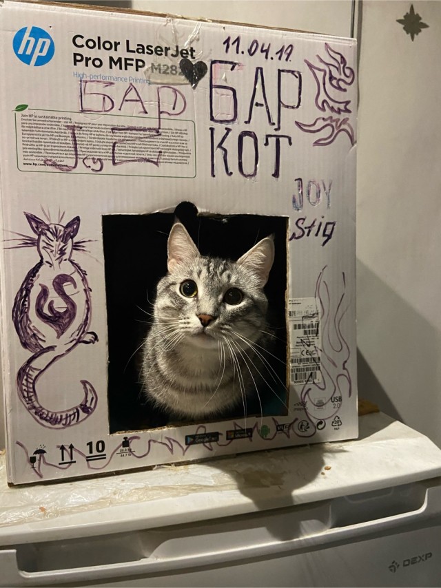 А ваши котейки че счас делают?