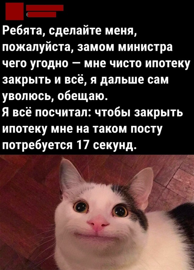 Так себе картинки 06.04.22