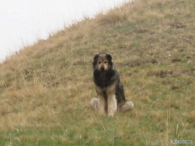 Рыбалка в горах. Плато Ассы.