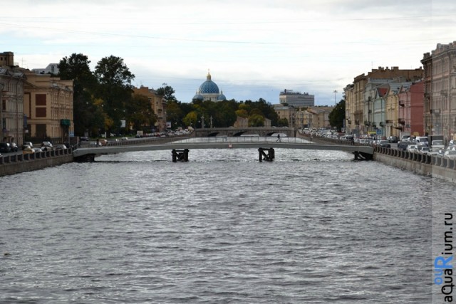 СПб глазами уставшего туриста...