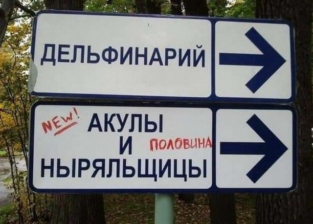 Картинки и мемы. Выходные близко, близко...