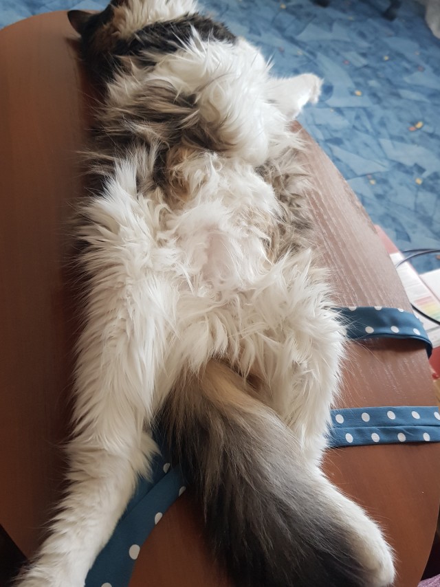 С праздником