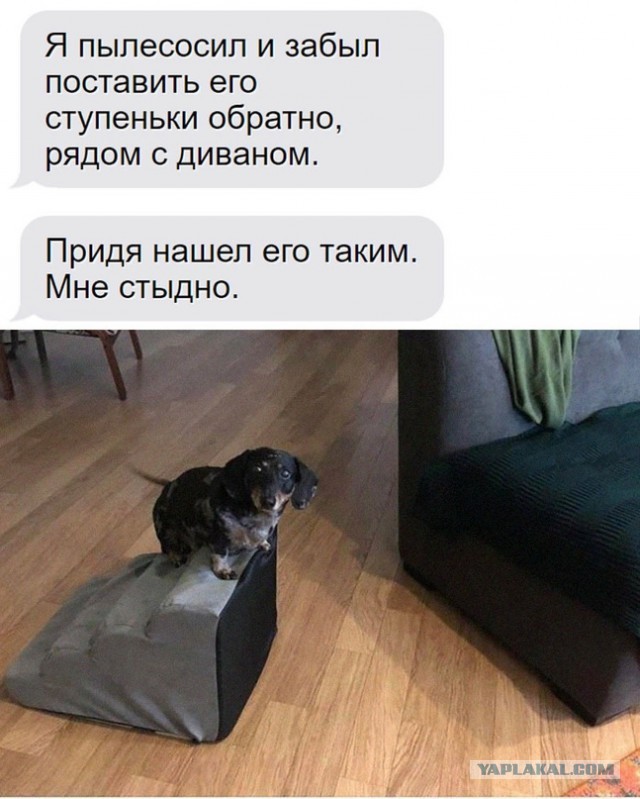Немного картинок для настроения - 131