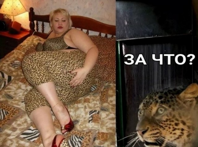 Баянистых и не очень картинок