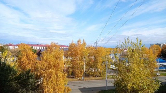 Моя мобильная фотография
