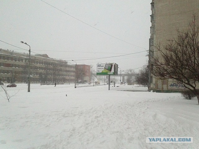 23 марта. Киев. Весна.