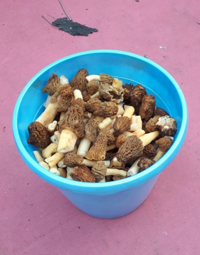 Строчки