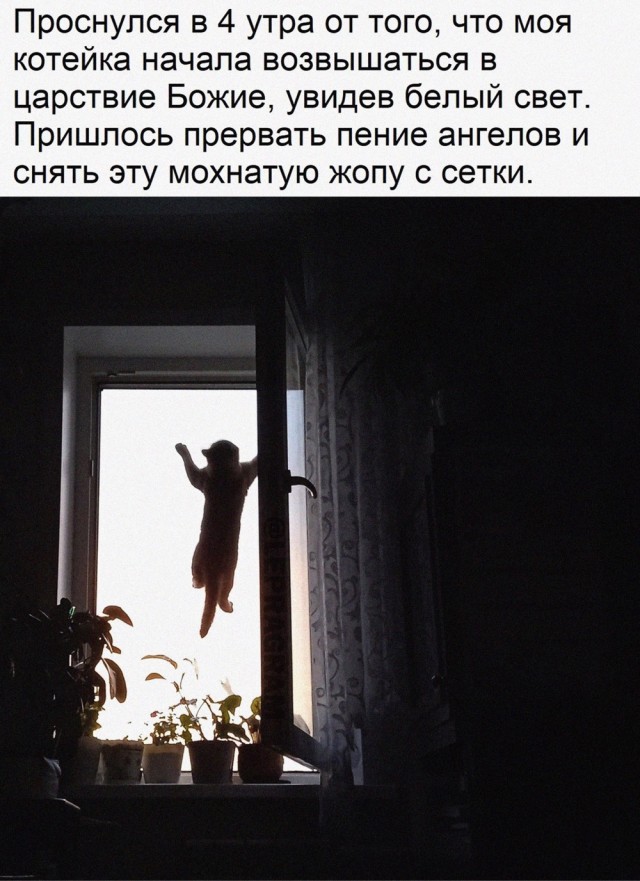 Картинки и мемы, всяко разно - 185