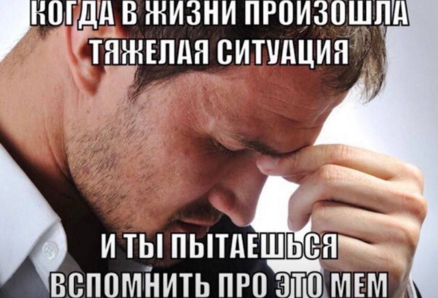 Весёлый полтишок 29.08.23