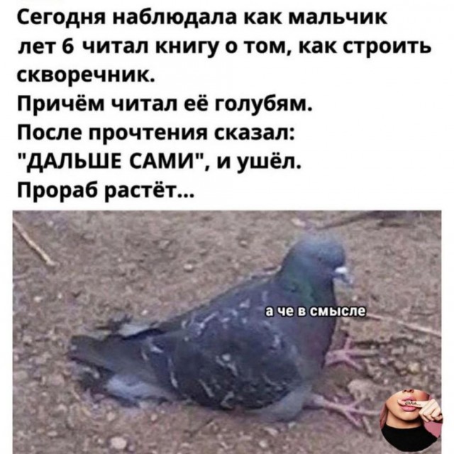 Прикольные и просто красивые картинки 12.01.2024