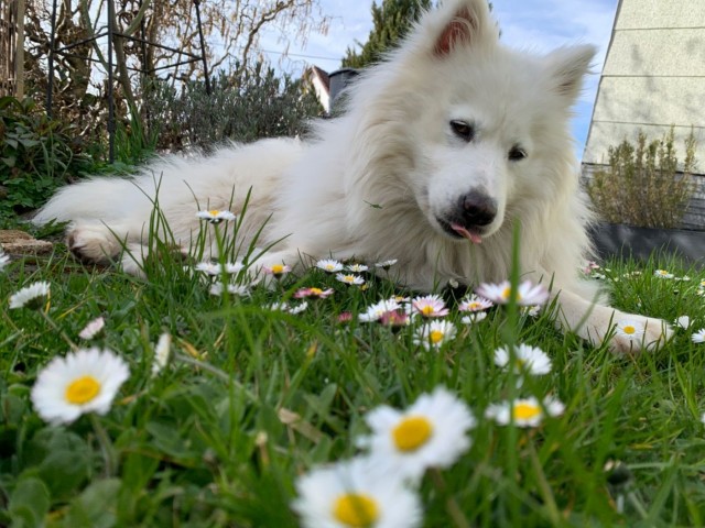 ФотоВинегрет