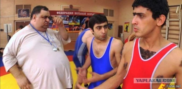 Скрипач с поломанными ушами