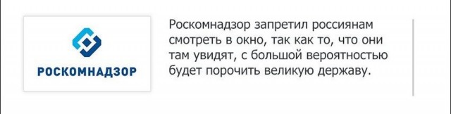 Екатерина Мизулина о блокировке YouTube: он сам себя довёл до этого