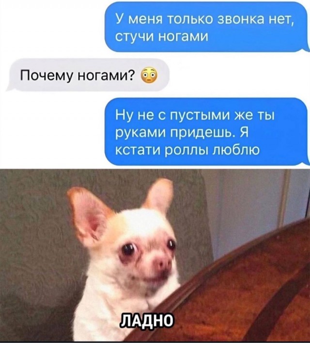 Немного забавных картинок от 07.09.24