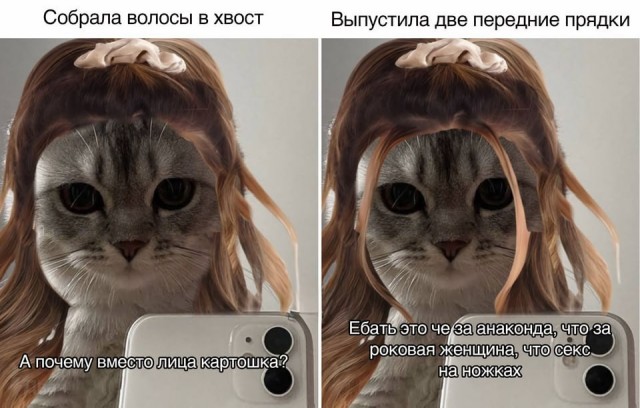 Завалялось тут случайно немного забавных картинок