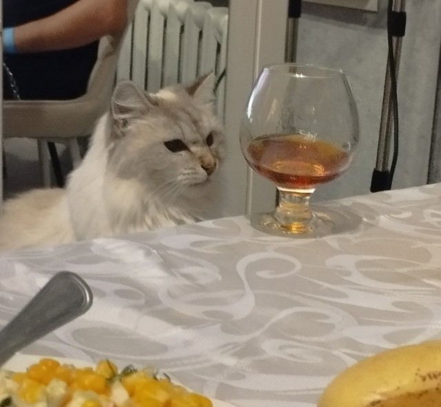 Нажрался и спит