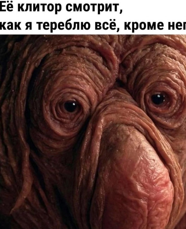 Ротилк