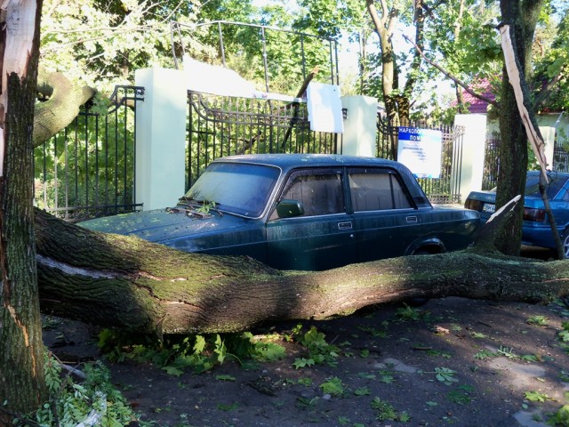 Ураган в Одессе
