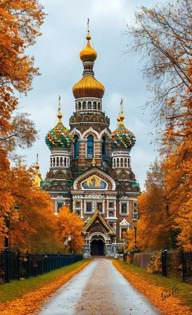Прикольные и просто красивые картинки 08.11.2024
