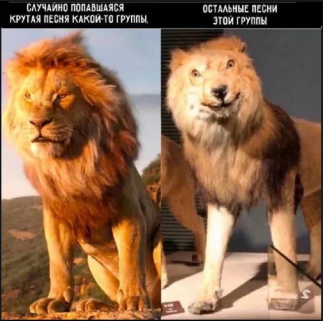 Картинки разные с надписями и без
