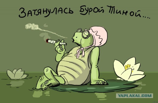 Меркель высказалась о завершении конфликта на Украине