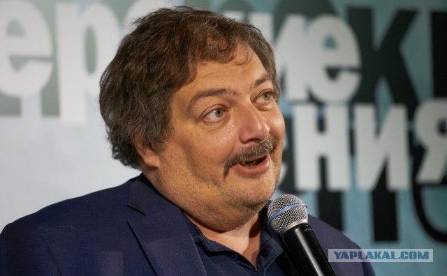 Манул Тимофей из Московского зоопарка закончил процесс зажировки к зиме