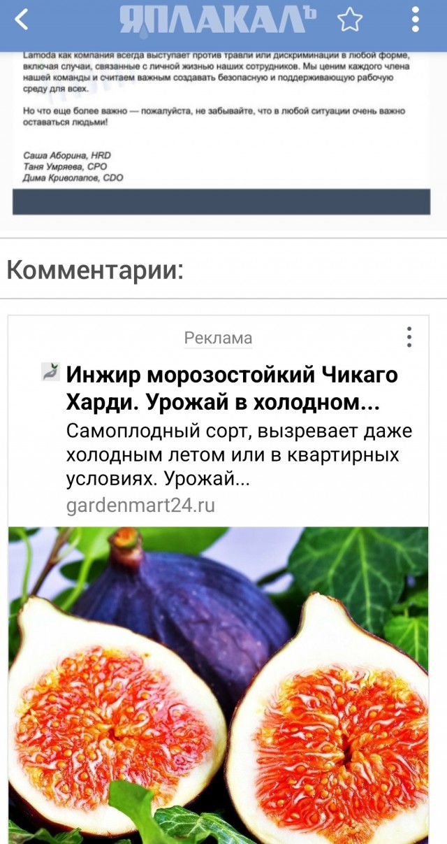 Тимлид отдела Lamoda Tech стала порноактрисой под ником Lika Blackberry