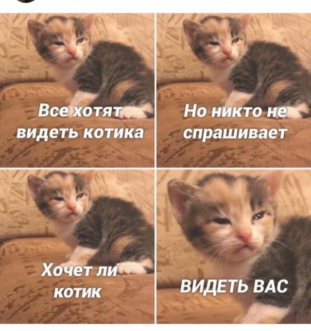 Юмор для тех, кто уже повзрослел и понял, что выходные — это миф