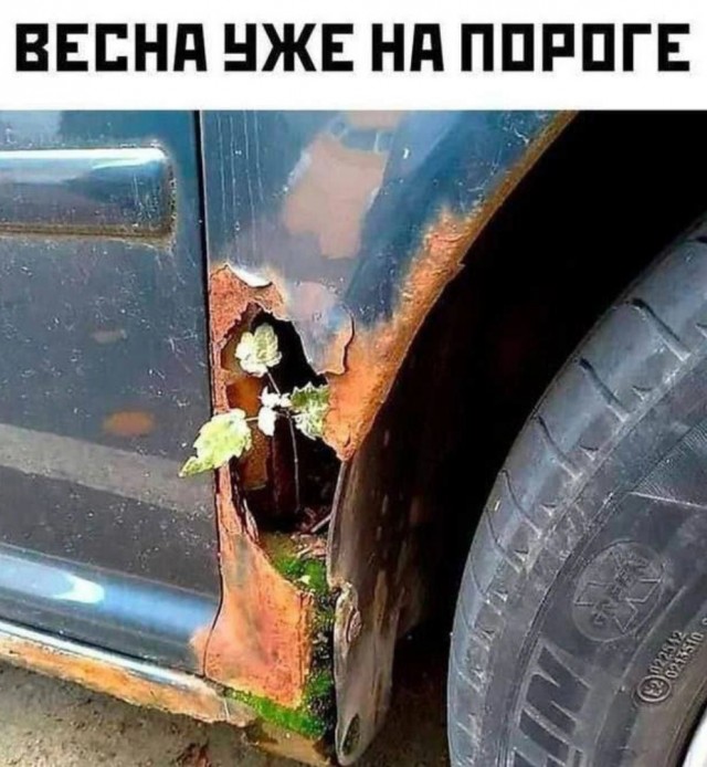 Завалялось тут случайно немного забавных картинок