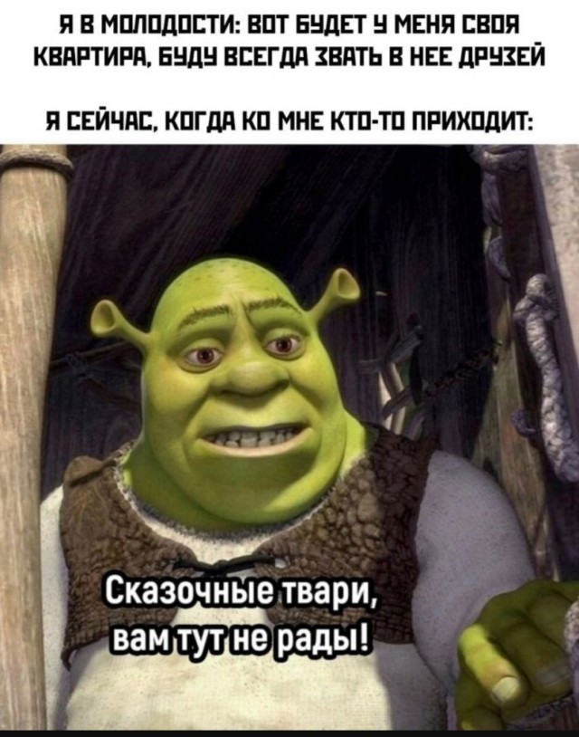 Юмор в картинках за пол дня и клуб приемных детей
