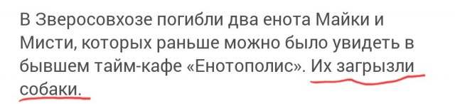Погибли еноты из «Енотополиса»
