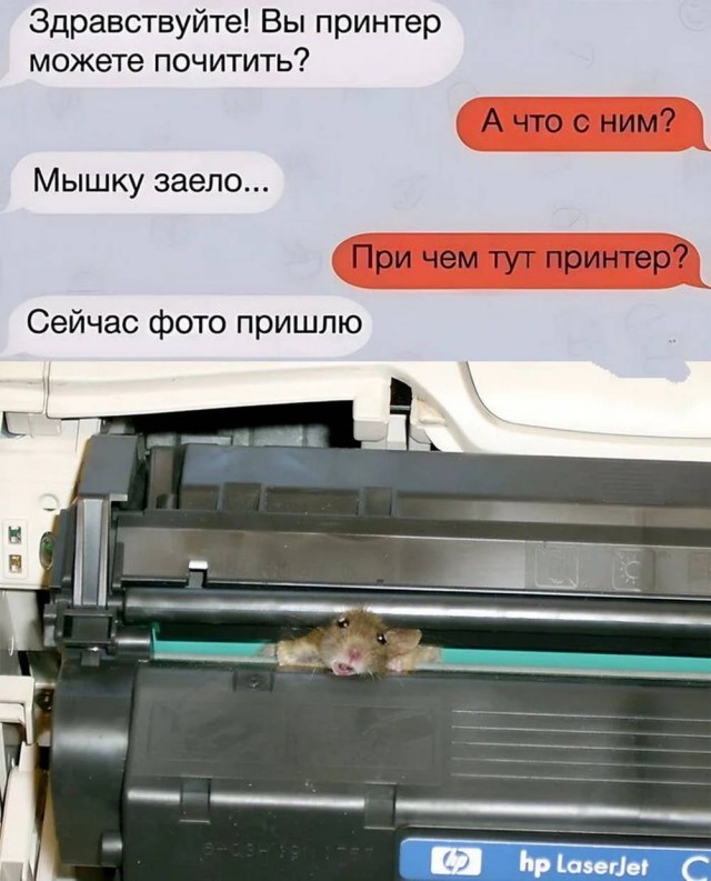 Картинки для деградации 69 (разной степени свежести)