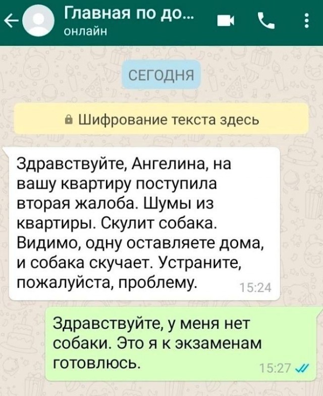Веселое настроение в картинках (24.10.2025)