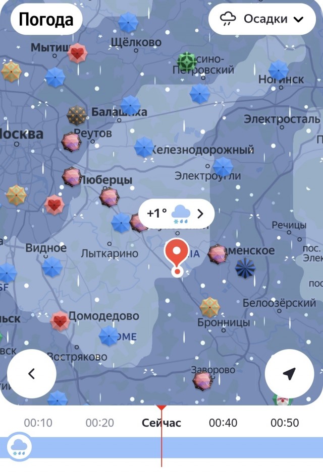 Сова падла
