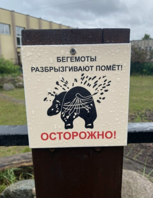 Картинки для деградации 247 (разной степени свежести)