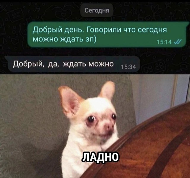 Веселое настроение в картинках 13.08.26