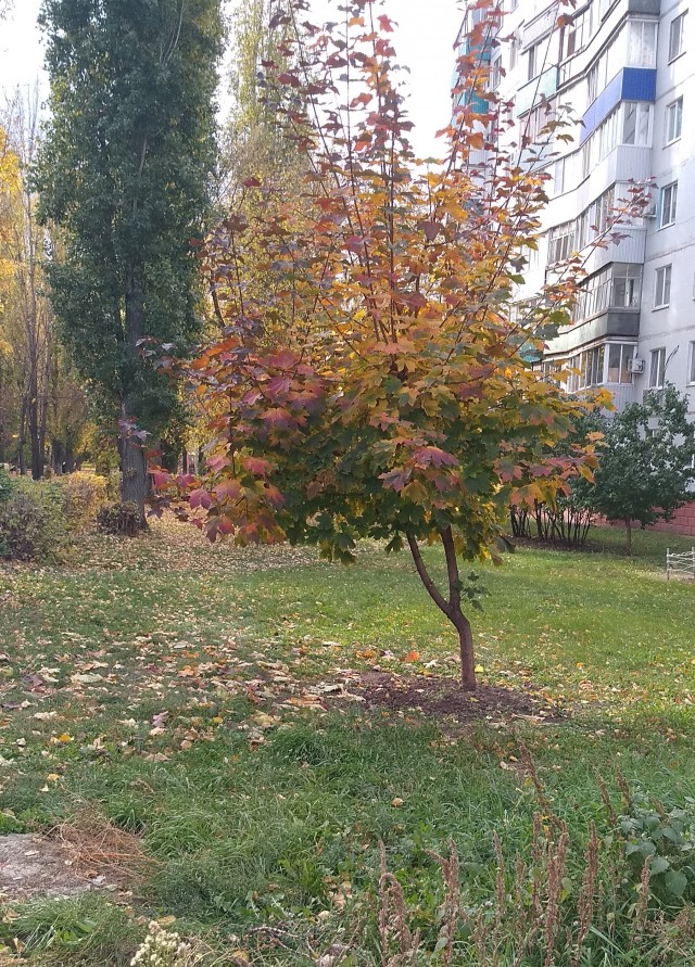 Год назад и сейчас.