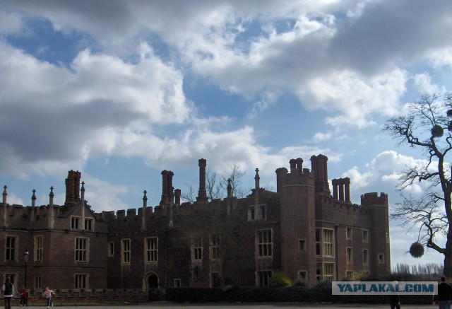 Как я в Англии практику проходил.