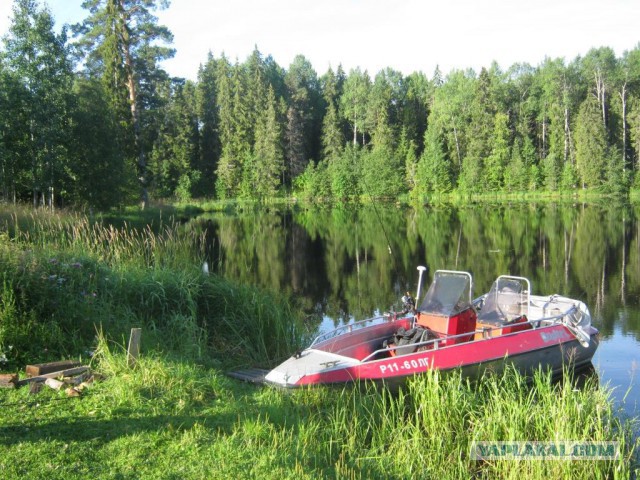 Как я отдыхаю