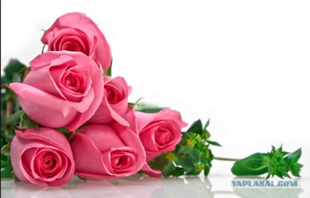 Киевский майдан после уборки