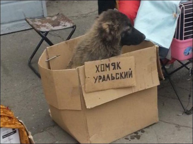 Рекламные ляпы