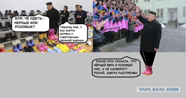 Заботы товарища Ким Чон Ына