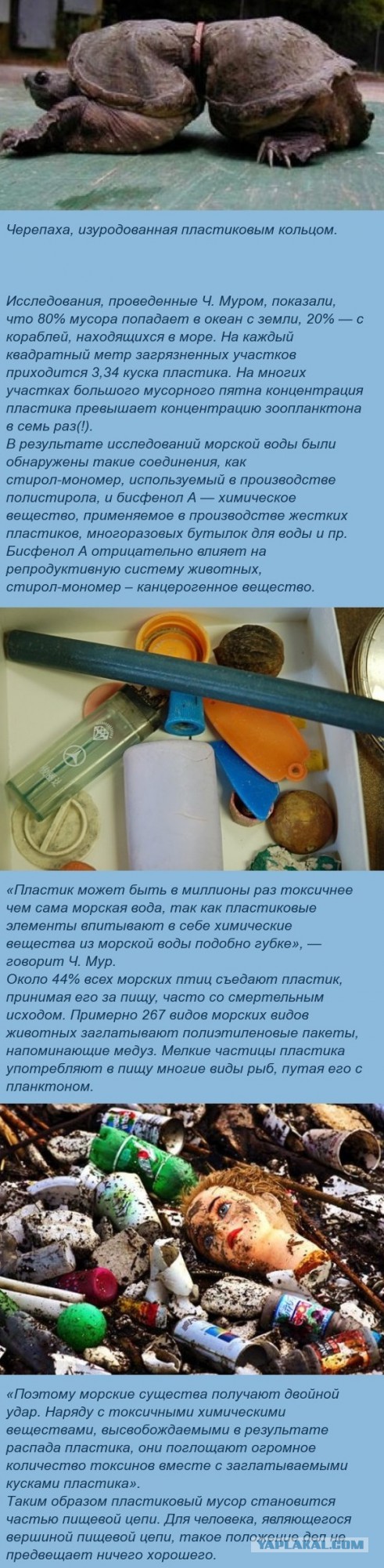 Что творится на острове посреди Тихого Океана