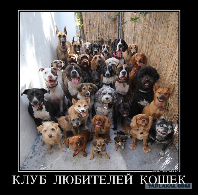 Подборка картинок из соцсетей
