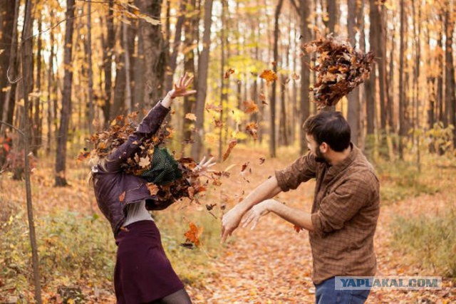 Подборка веселых картинок
