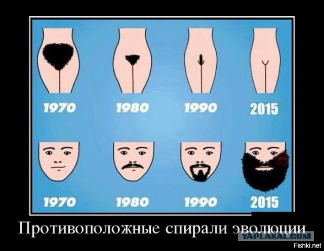 Подборка интересных и веселых картинок