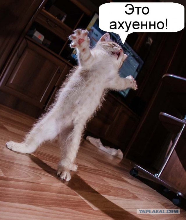 До свидания Камчатка, я обязательно вернусь!