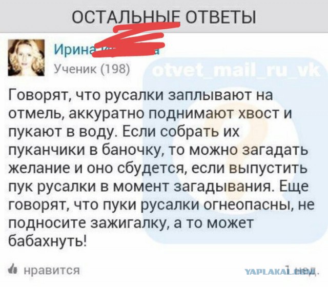 А ведь это жизнь